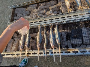 PXL_20251123_065211153.MP